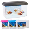 Aquarium Fish Tank [879295]