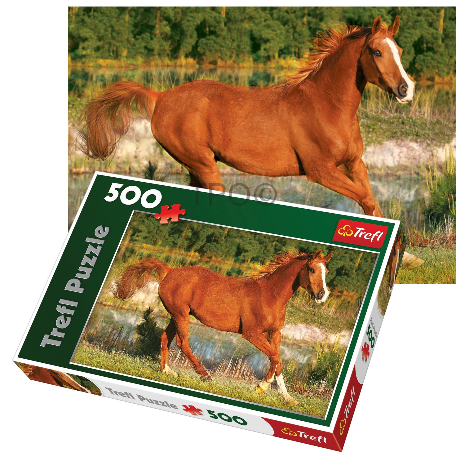 Trefl 500 Piece Adult Large Floor Horse Beauty Field Gallop Jigsaw ...