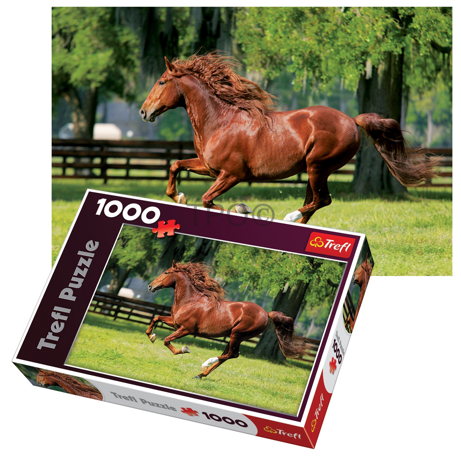 Trefl 1000 Piece Adult Large Horse Gallop In Field Floor Wall Jigsaw ...