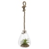 Glass Hanging Artificial Plant [477627]