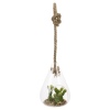 Glass Hanging Artificial Plant [477627]