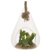 Glass Hanging Artificial Plant [477627]