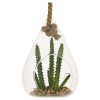 Glass Hanging Artificial Plant [477627]