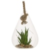 Glass Hanging Artificial Plant [477627]