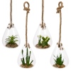 Glass Hanging Artificial Plant [477627]