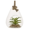 Glass Hanging Artificial Plant [477627]