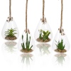 Glass Hanging Artificial Plant [477627]