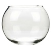 Clear Glass Bowl