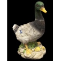 Farm Birds Duck Ornament [385174]