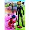 Puzzles "100" - Adventures of Ladybug and Cat Noir / ZAG America Miraculous [16323]