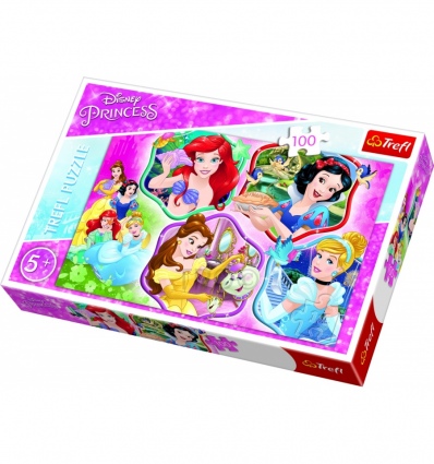 Puzzles "100" - Princesses charm / Disney Princess [16339]