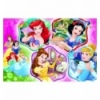 Puzzles "100" - Princesses charm / Disney Princess [16339]