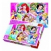 Puzzles "100" - Princesses charm / Disney Princess [16339]