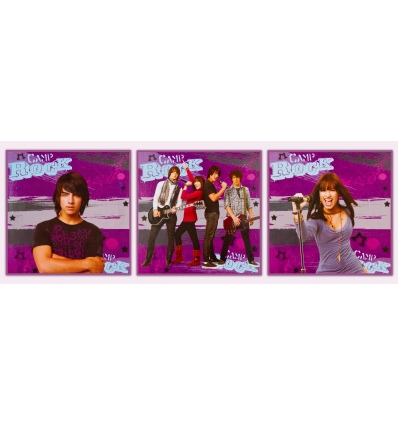 Camp Rock Canvas Picture (43014)