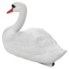 Floating Swan [177217]