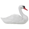 Floating Swan [177217]