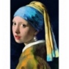 Puzzles - "1000 Art Collection" Girl with a pearl earring  [10522]