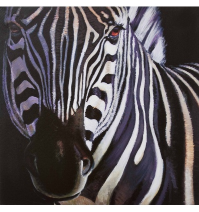 Zebra Canvas [978338]