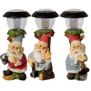 Solar Light Gnome 30cm Outdoor Lights [385136]