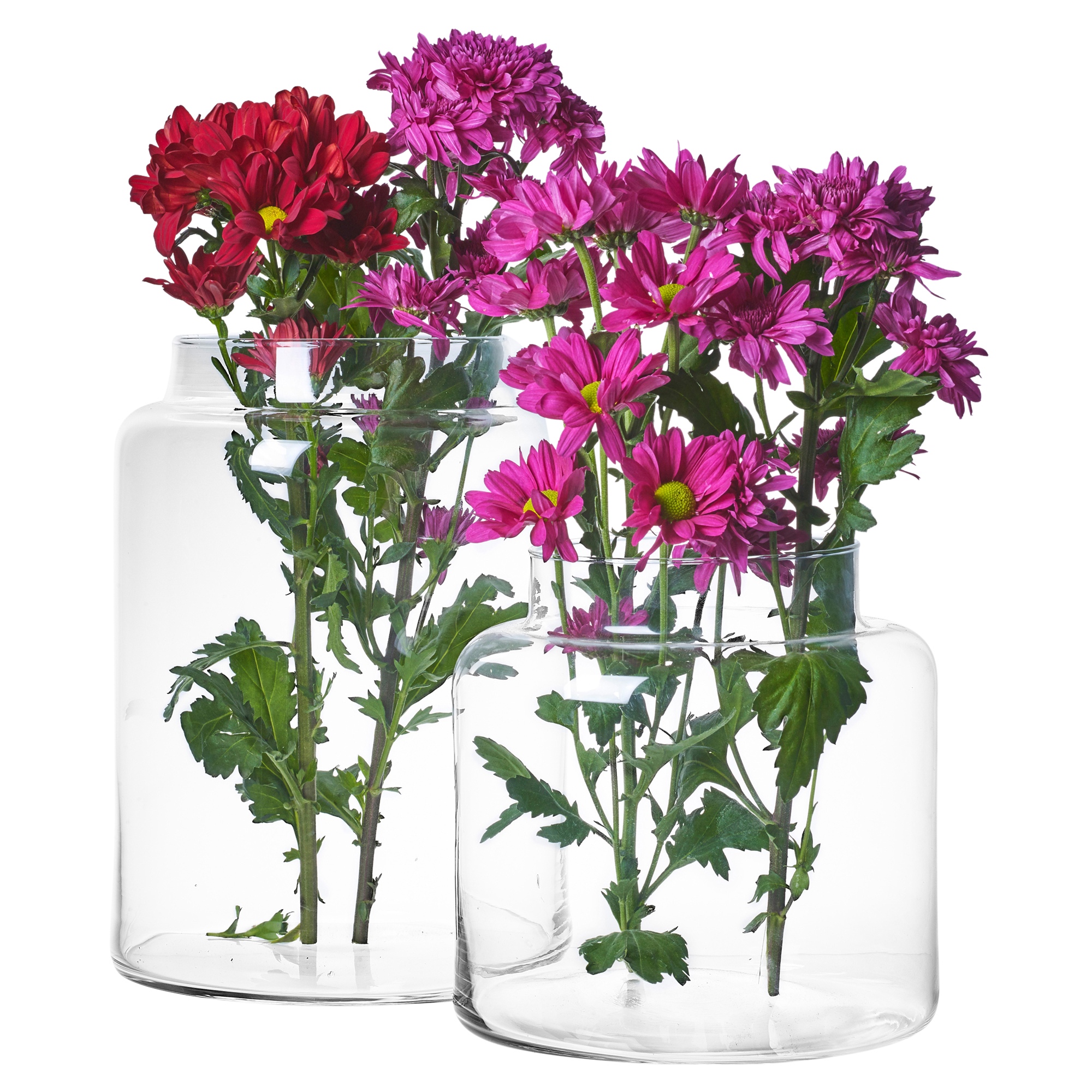 Large Clear Glass Cylinder Shaped Vases Flowers Aquarium