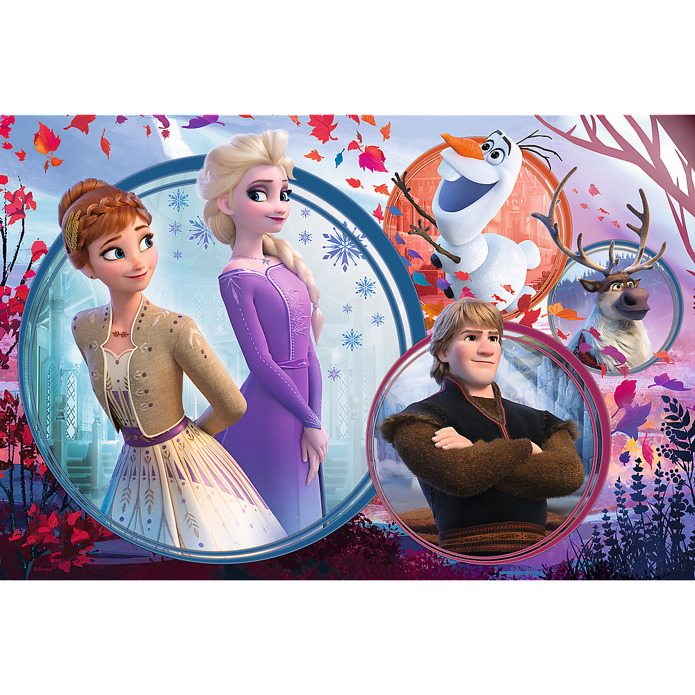 frozen 2 puzzle kmart