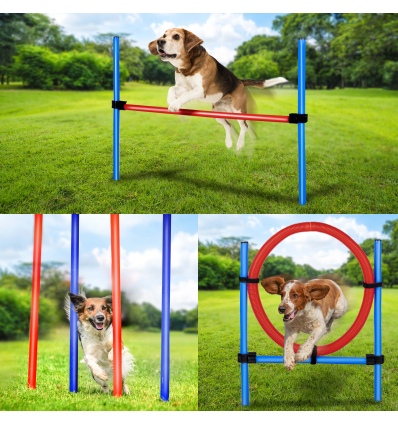 Dog Agility Training Set [474359]