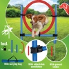 Dog Agility Training Set [474359]