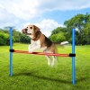 Dog Agility Training Set [474359]