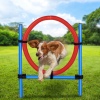 Dog Agility Training Set [474359]