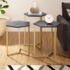 Set of 3 Modern Hex Wood Nesting Tables