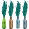 Pampas Plume and  and Heavy Glass Vase Sets