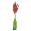 Pampas Plume and  and Heavy Glass Vase Sets