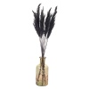 Pampas Plume and  and Heavy Glass Vase Sets