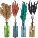 Pampas Plume and  and Heavy Glass Vase Sets