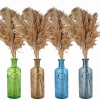 Pampas Plume and  and Heavy Glass Vase Sets