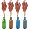 Pampas Plume and  and Heavy Glass Vase Sets