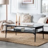 42" Rayna Two Tier Glass & Metal Coffee Table