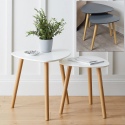 2 Pcs Teardrop Nesting Tables