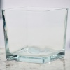 Square Glass Vase 12x12x12cm [495835]