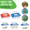 Plastic Insect Box [238548]