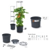 Anthracite Tomato Grower Tower