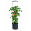 Anthracite Tomato Grower Tower