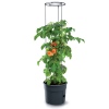 Anthracite Tomato Grower Tower