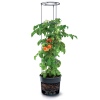 Anthracite Tomato Grower Tower