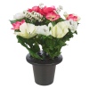 Assorted Style Mini Flowerpots