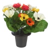 Assorted Style Mini Flowerpots