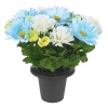 Assorted Style Mini Flowerpots