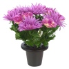 Assorted Style Mini Flowerpots