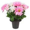 Assorted Style Mini Flowerpots