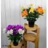 Assorted Style Mini Flowerpots